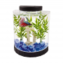 Acrylic Fish Tank - AM-FT-0201