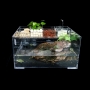 Acrylic Fish Tank - AM-FT-0406