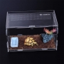 Acrylic Pet Box - AM-PB-02