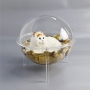 Acrylic Pet Box - AM-PB-03