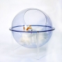 Acrylic Pet Box - AM-PB-03