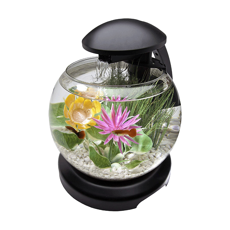 Acrylic Fish Tank-AM-FT-0102