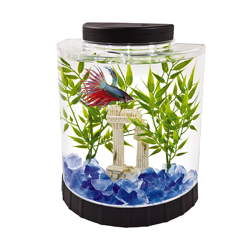 Acrylic Fish Tank-AM-FT-0201