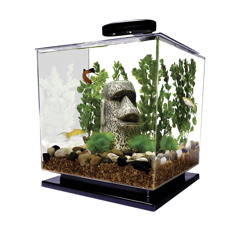 Acrylic Fish Tank-AM-FT-0301C