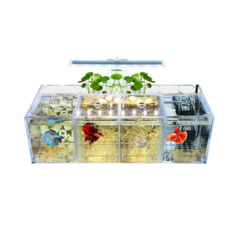 Acrylic Fish Tank-AM-FT-0401