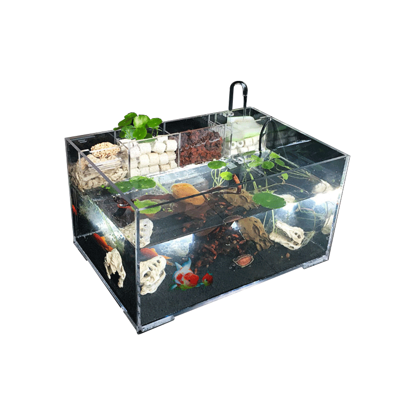 Acrylic Fish Tank-AM-FT-0406